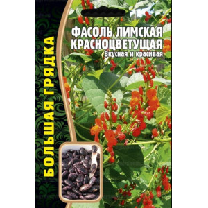 Фасоль Красноцветущая лимская Григорьев