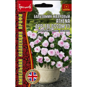 Бальзамин Афина Яблоневый F1 (Athena Appleblossom) ампельный 4шт. Григорьев Бальзамин Афина Яблоневый F1 (Athena Appleblossom) ампельный 4шт. Григорьев