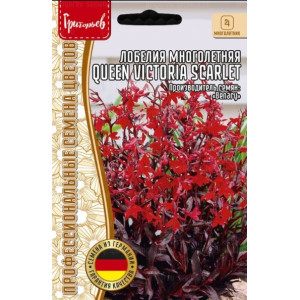 Лобелия Queen Victoria Scarlet многолетняя 5драже Григорьев Лобелия Queen Victoria Scarlet многолетняя 5драже Григорьев