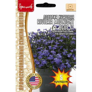 Лобелия Riviera Midnight Blue F1 5мультидраже Григорьев Лобелия Riviera Midnight Blue F1 5мультидраже Григорьев