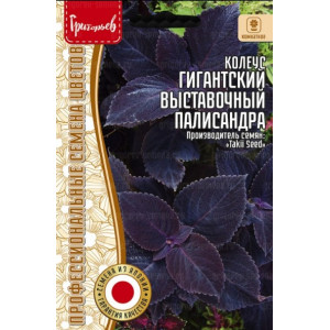Колеус Гигантский Выставочный Палисандра (Giant Exhibition Palisandra) 3 шт. Григорьев Колеус Гигантский Выставочный Палисандра (Giant Exhibition Palisandra) 3 шт. Григорьев