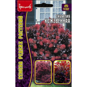 Скумпия Кожевенная  20шт Григорьев