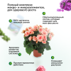 Цимус 750гр Комнатные растения
