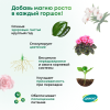 Цимус 750гр Комнатные растения