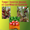 Томат Золотое Яблоко из Сен Жан де Борежара (Domaine de Saint-Jean de Beauregard)   коллекционные сорта