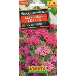 Монарда Махровая сказка АЭ Ц