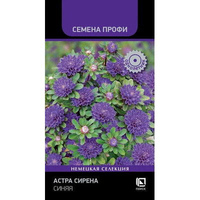 Астра Сирена Синяя Поиск Ц 