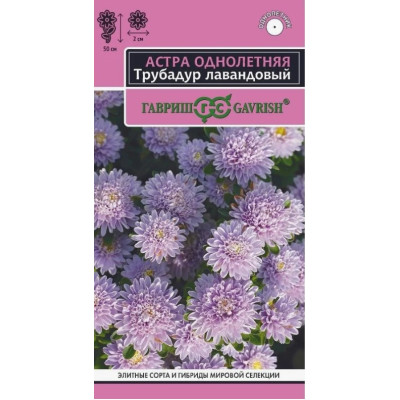 Астра Трубадур Лавандовый Гавриш Ц 