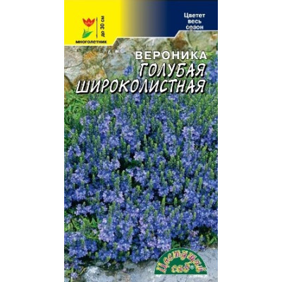 Вероника Голубая Широколистная ЦС Ц 