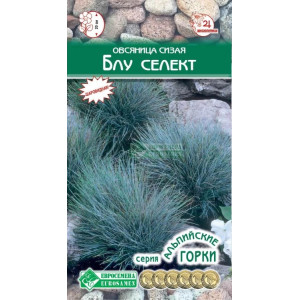 Овсяница сизая Блу Селект ЕС Ц