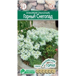 Молочай Горный снег ЕС Ц