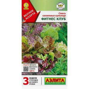 Салат Фитнес Клуб Аэлита Ц