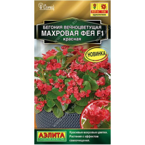 Бегония Махровая фея Красная Вечноцветущая Аэлита Ц Бегония Махровая фея Красная Вечноцветущая Аэлита Ц