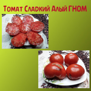 Томат Сладкий алый ГНОМ коллекционный сорт Томат Сладкий алый ГНОМ коллекционный сорт