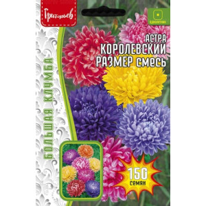 Астра Королевский размер смесь Григорьев Астра Королевский размер смесь Григорьев