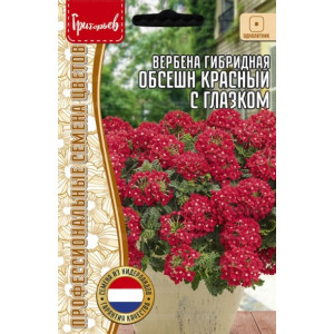 Вербена Обсешн Красный с глазком гибридная Григорьев Вербена Обсешн Красный с глазком гибридная Григорьев