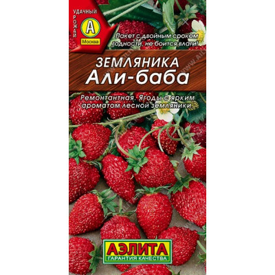 Земляника Али Баба Аэлита Ц