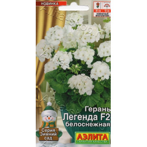 Пеларгония Легенда Белоснежная F2 Аэлита Ц Пеларгония Легенда Белоснежная F2 Аэлита Ц