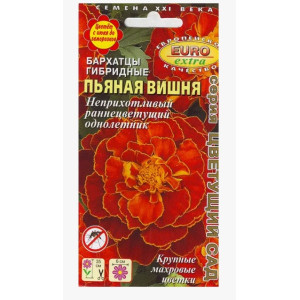 Бархатцы Пьяная Вишня Аэлита Ц Бархатцы Пьяная Вишня Аэлита Ц