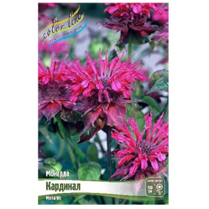 Монарда Кардинал 1шт 