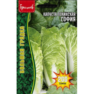 Капуста пекинская София Григорьев
