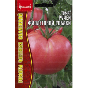Томат Ручей Фиолетовой Собаки (Purple Dog Creek) 5шт. Григорьев