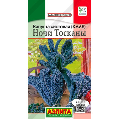 Капуста кале Ночи Тосканы Аэлита Ц 