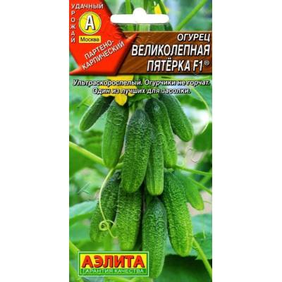 Огурец Великолепная пятерка Аэлита Ц 