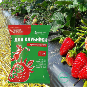 Клубника с Кремнемагом 1кг ПАБ