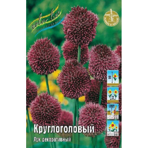 Лук декоративный Круглоголовый 1шт