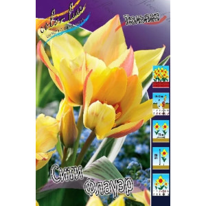 Тюльпан Сити Флауэр 12/+ 1шт