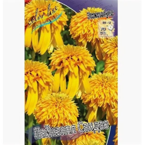 Эхинацея Пайнэппл Сандае