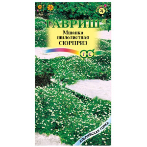 Мшанка Сюрприз шилолистная Гавриш Ц Мшанка Сюрприз шилолистная Гавриш Ц
