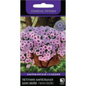 Петуния Шок Вейв Пинк F1 Поиск Цветной пакет