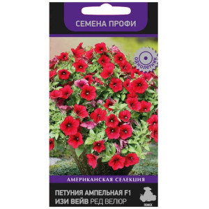 Петуния Изи Вейв Ред Велюр Поиск Ц
