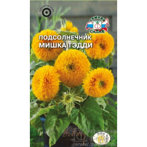 Подсолнечник Мишка Тедди Седек Ц Подсолнечник Мишка Тедди Седек Ц