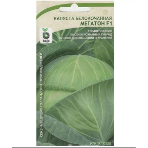 Капуста Мегатон F1 Bejo Садовита