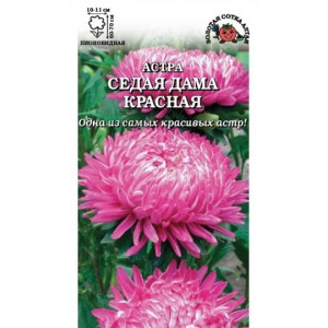 Астра Седая Дама Красная ЗСА Ц Астра Седая Дама Красная ЗСА Ц