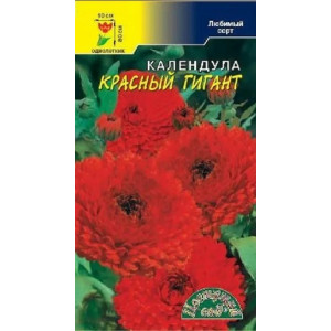 Календула Красный Гигант МАХ Цветущий сад Календула Красный Гигант МАХ Цветущий сад