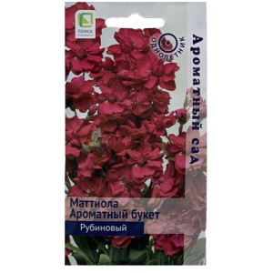 Маттиола Ароматный букет Рубиновый Поиск Ц