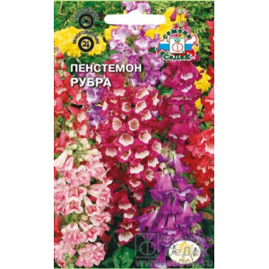 Пенстемон Рубра ( Хартвега) Седек Ц Пенстемон Рубра ( Хартвега) Седек Ц