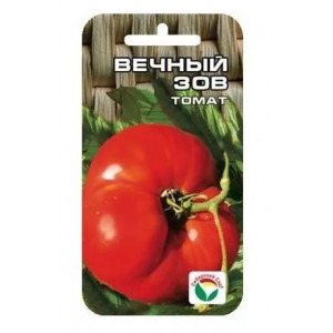 Томат Вечный зов Сибирский сад Ц