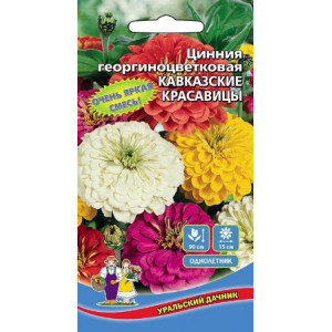 Цинния Кавказкие красавицы, смесь Уральский Дачник Ц