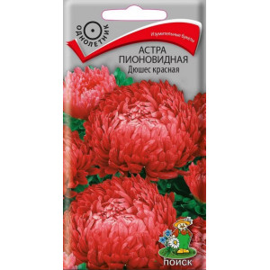 Астра Дюшес красная пионовидная ДЛЯ СРЕЗКИ Поиск Ц Астра Дюшес красная пионовидная ДЛЯ СРЕЗКИ Поиск Ц