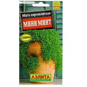 Мята мини минт корсиканская Аэлита Ц