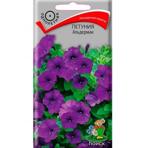 Петуния Альдерман Поиск Ц Петуния Альдерман Поиск Ц