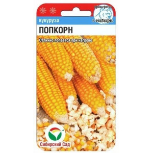 Кукуруза Попкорн Сибирский сад Ц