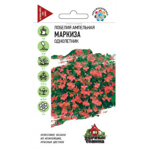 Лобелия Маркиза Гавриш Ц Лобелия Маркиза Гавриш Ц