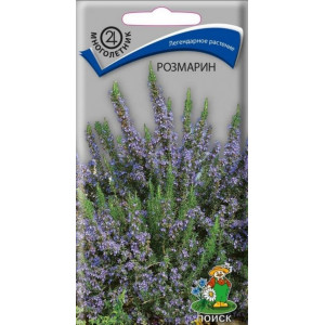 Розмарин Поиск Ц