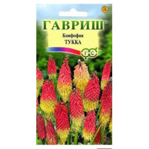Книфофия Тукка Гавриш Ц Книфофия Тукка Гавриш Ц